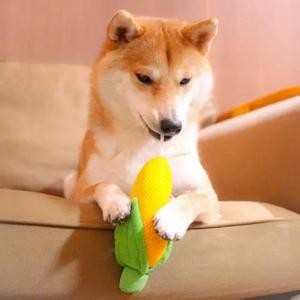 爱我快走我有毒哪样紧要