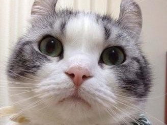 哪位知除房间装修异味方法是啥有效的