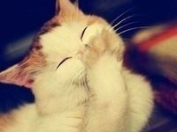 如何除去装修异味？